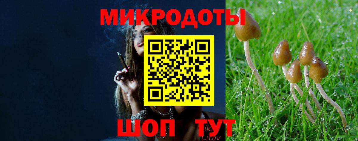 Киреевск  Галлюциногенные грибы мухоморы  Вход с VPN 